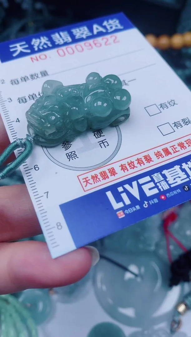 颈饰未镶嵌翡翠00009622