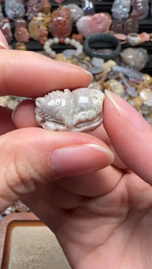 颈饰未镶嵌硅化珊瑚（珊瑚玉）758