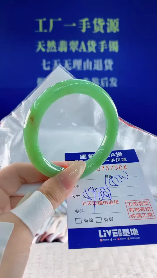 未镶嵌手镯翡翠04天然翡翠A货