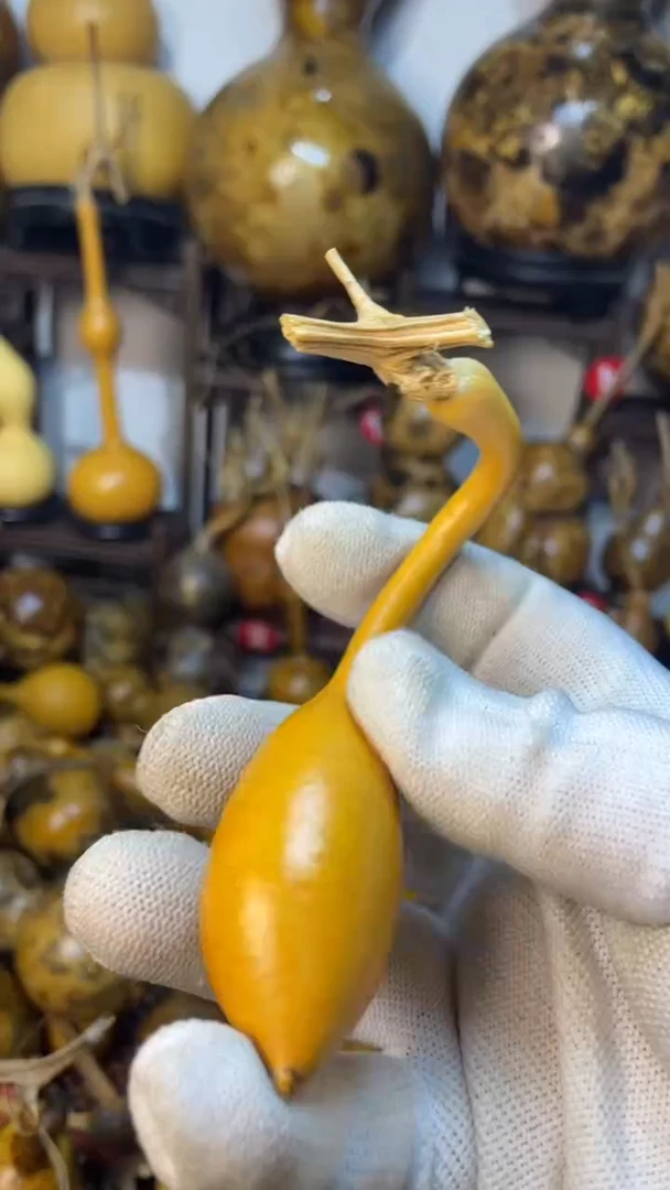 【闪购商品】葫芦葫芦葫芦葫芦