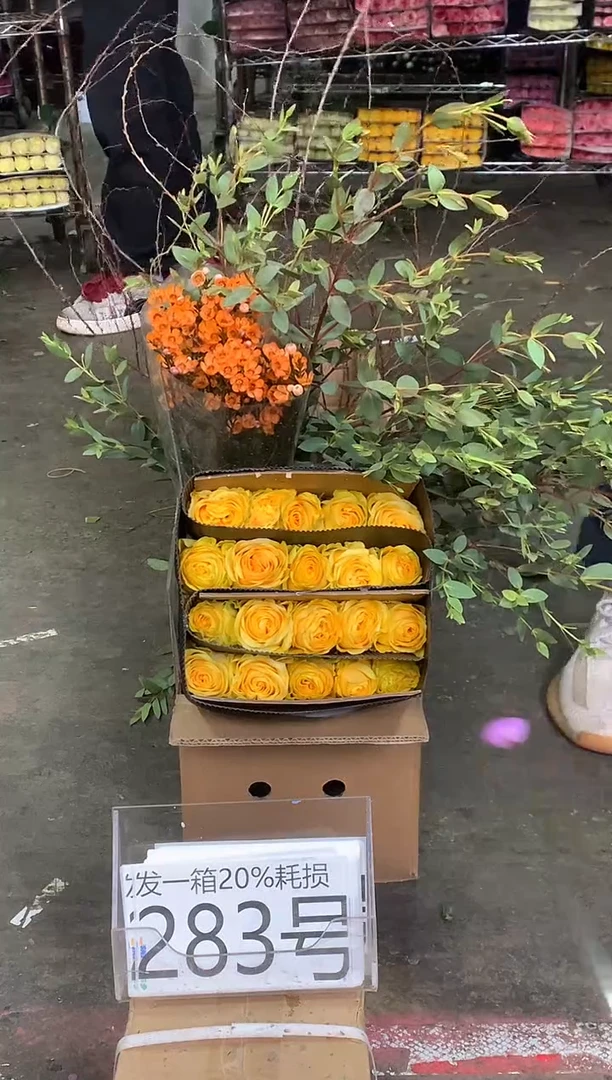 283号♥中通含20%耗损发一箱鲜花