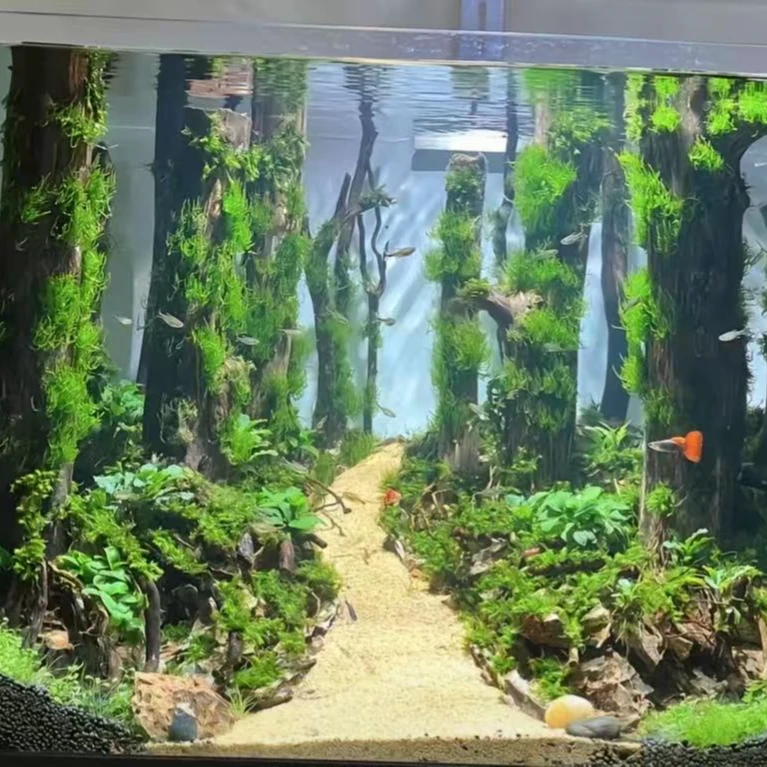 9厘米鱼缸树桩造景鱼缸木头香槟木树枝树杈造景成品树皮沉木树干