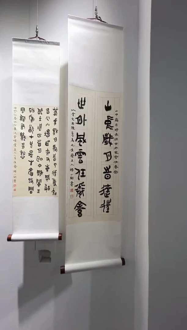 书法书法杨小刚SF204630F卷轴山中岁月时来往