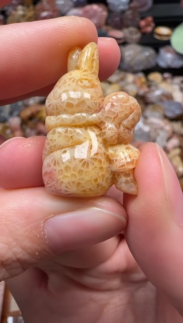 颈饰未镶嵌硅化珊瑚（珊瑚玉）774