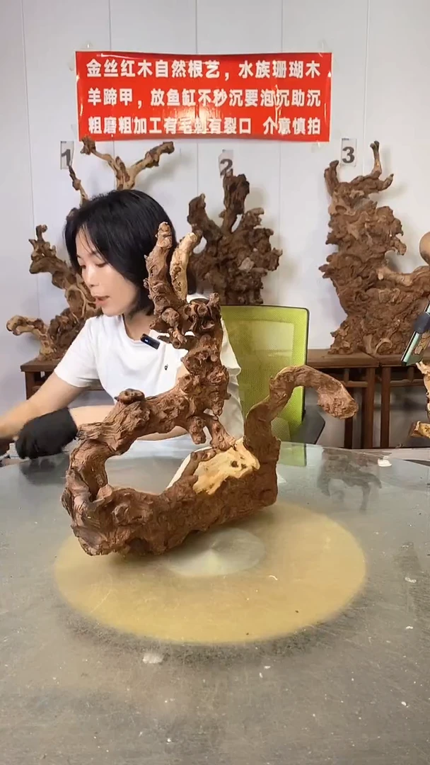 香榧木联*想金丝红木 羊蹄甲