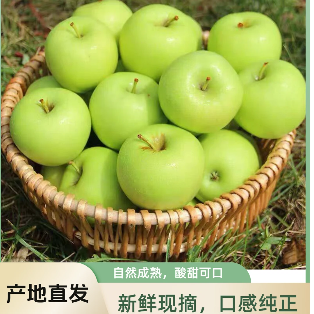 头茬现摘新鲜小青苹果应季水果酸甜脆口适合孕妇小孩小苹果