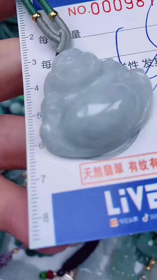 翡翠未镶嵌颈饰00009877