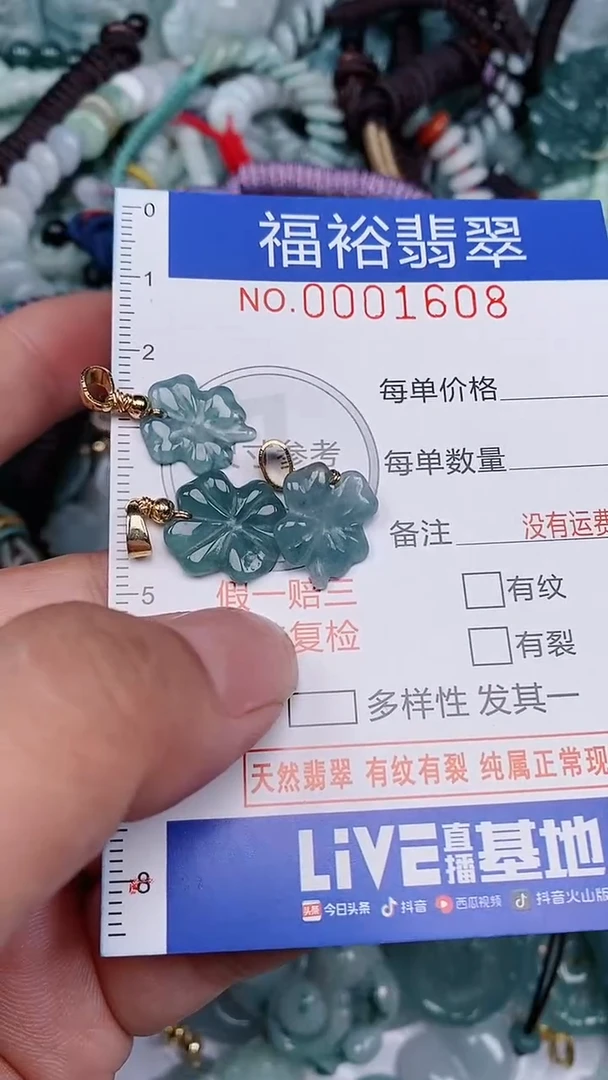 翡翠未镶嵌颈饰...0001608