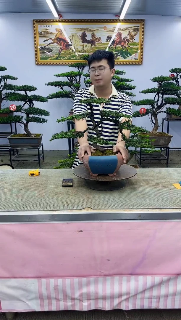 无花朵一物一拍，所见即所得