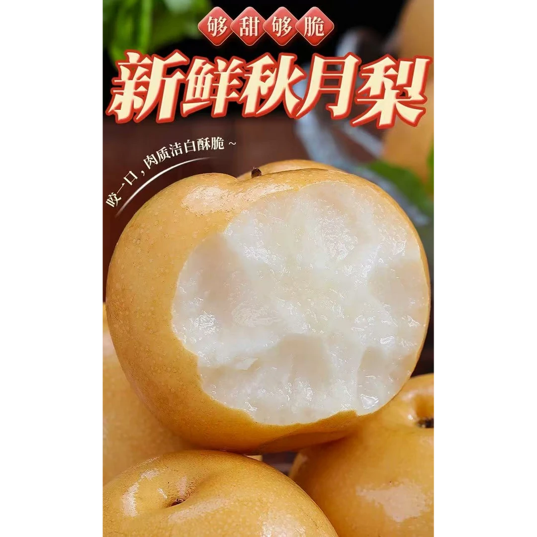 [产地直发]正宗山东莱阳秋月梨脆甜多汁细腻化渣25年头茬应季水果