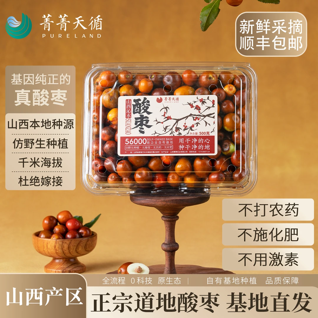 菁菁天循山西酸枣 自有基地仿野生种植  0农药0激素0化肥