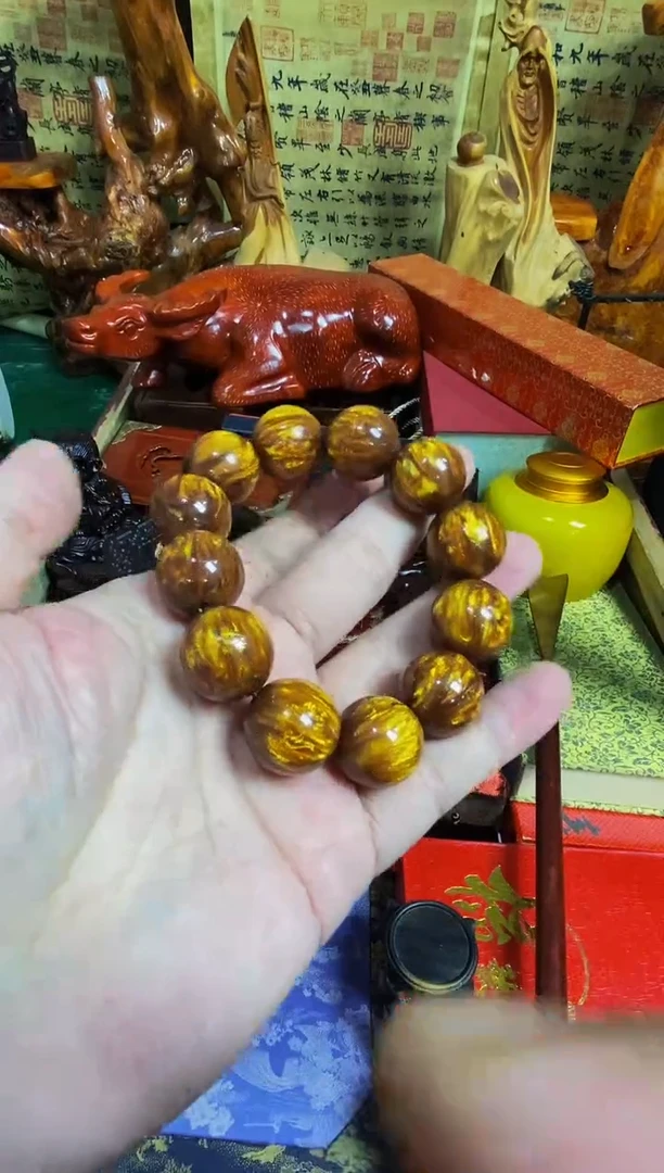 木海柳2.0直播推荐直播推荐