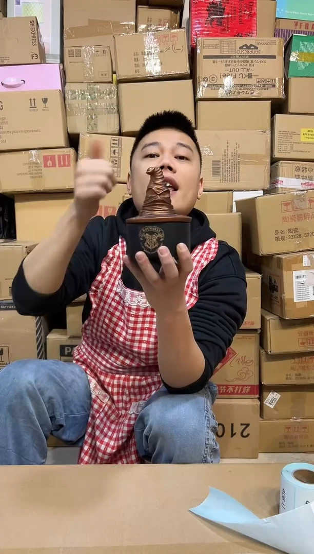 【闪购商品】杯哈利波特分院帽首饰盒