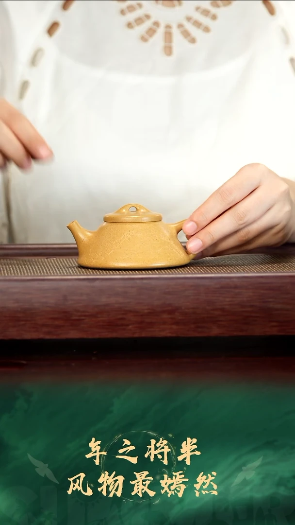 53号TT黄金段石瓢