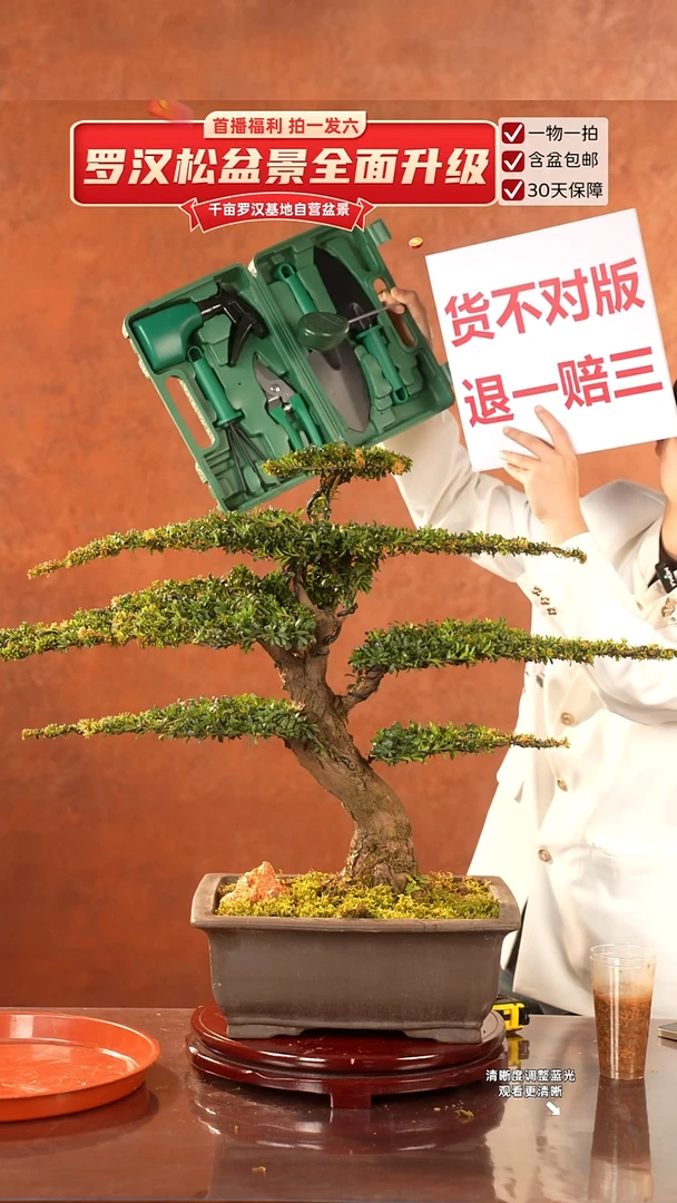 无花朵专属于 两哥 的闪购链接