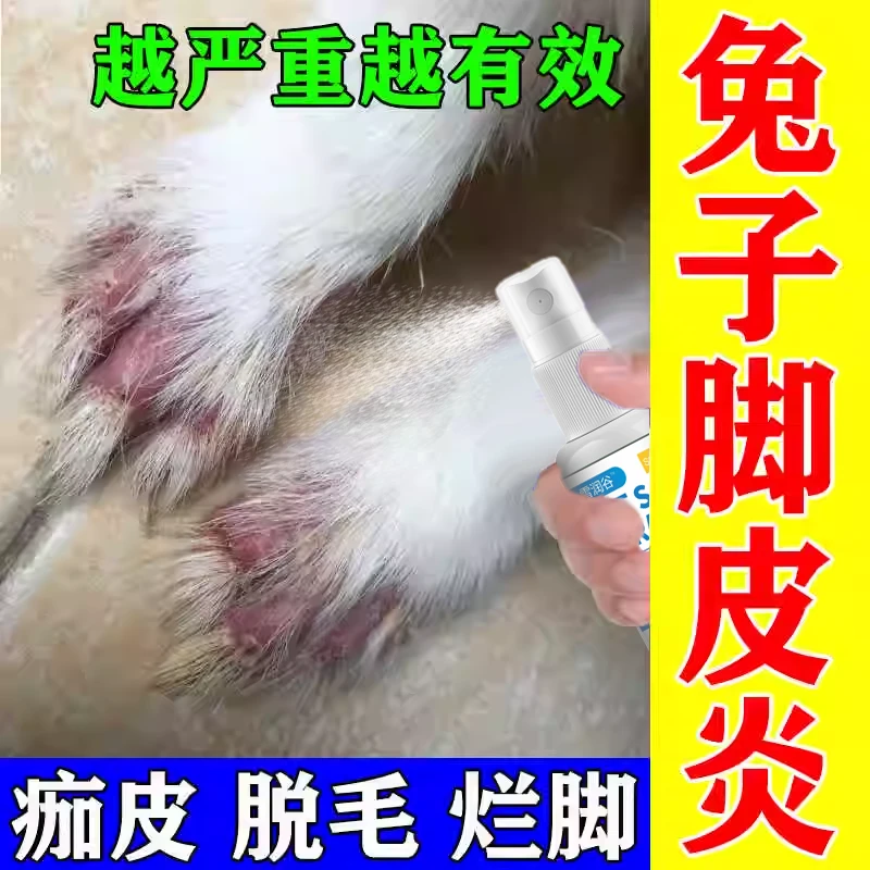 兔子烂脚兔子脚皮炎喷雾脚趾发炎红肿溃烂结痂真菌感染皮肤掉毛