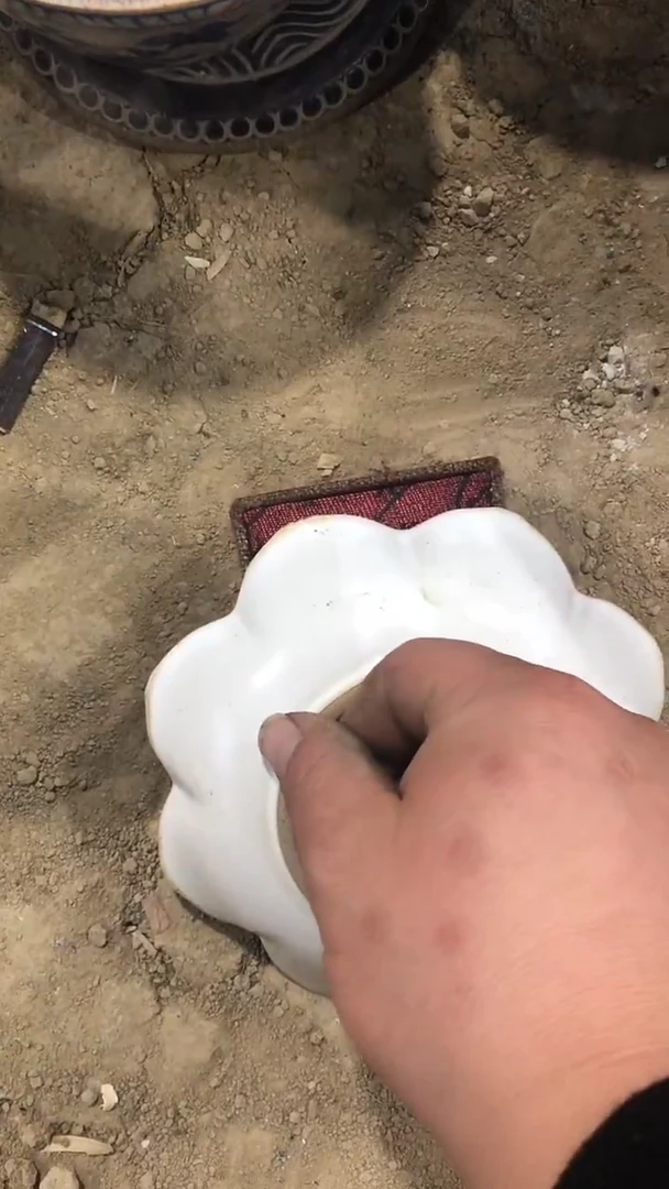 瓷碧**天商用陶瓷代替链接（已直播间实物为准）