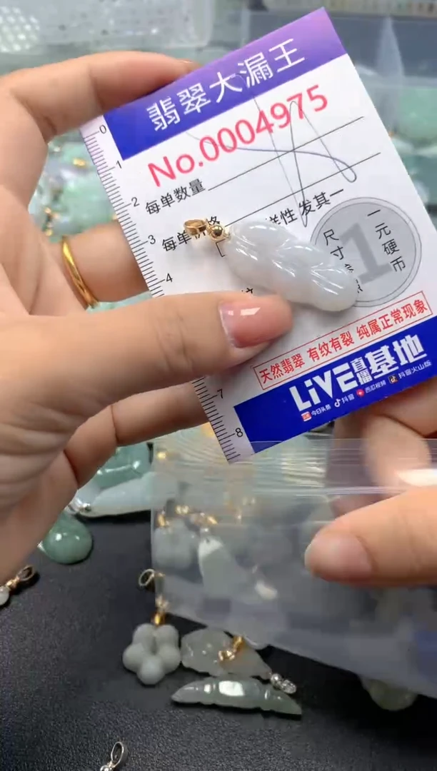 颈饰未镶嵌翡翠4975