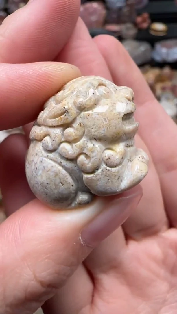 颈饰未镶嵌硅化珊瑚（珊瑚玉）322