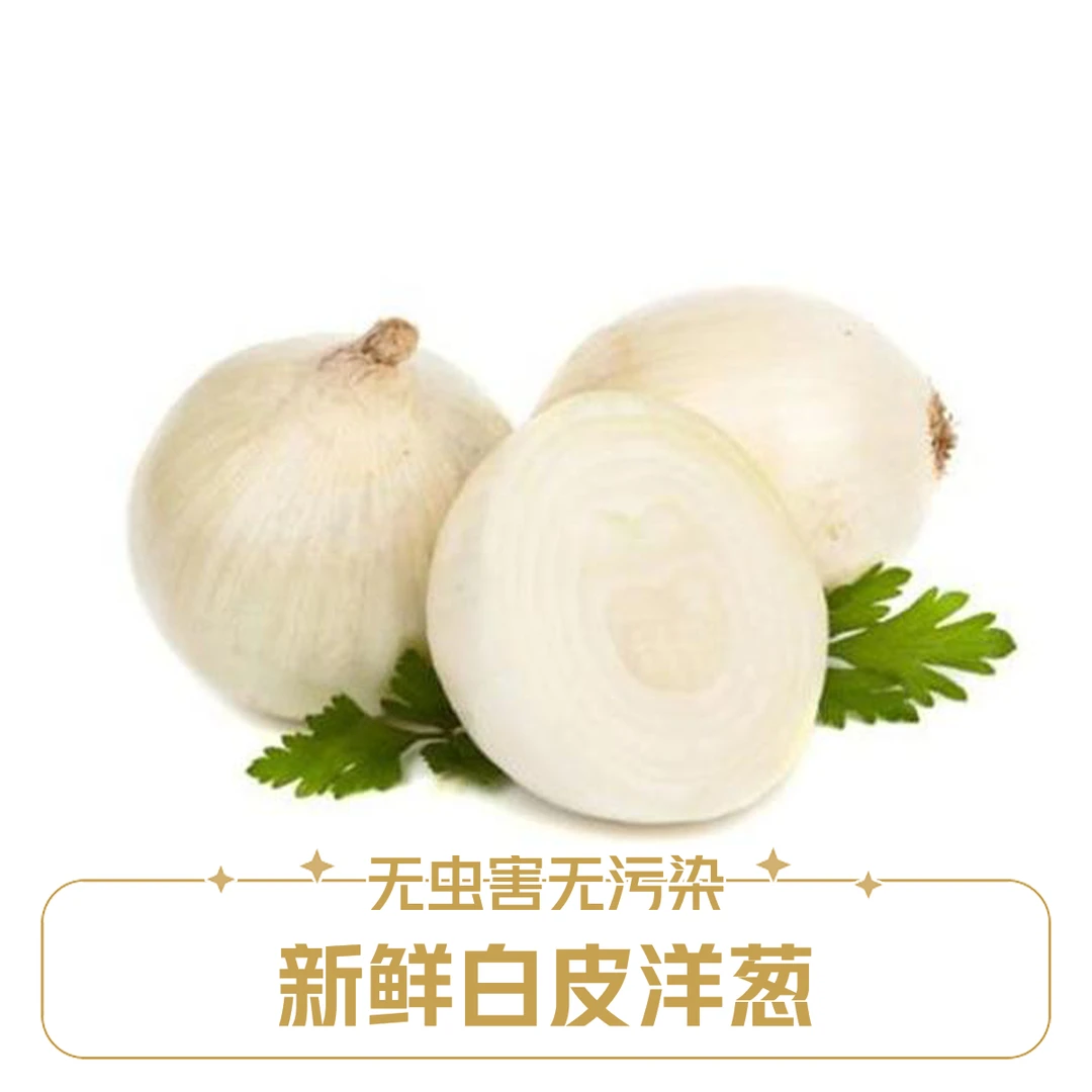 皮牙子洋葱5kg