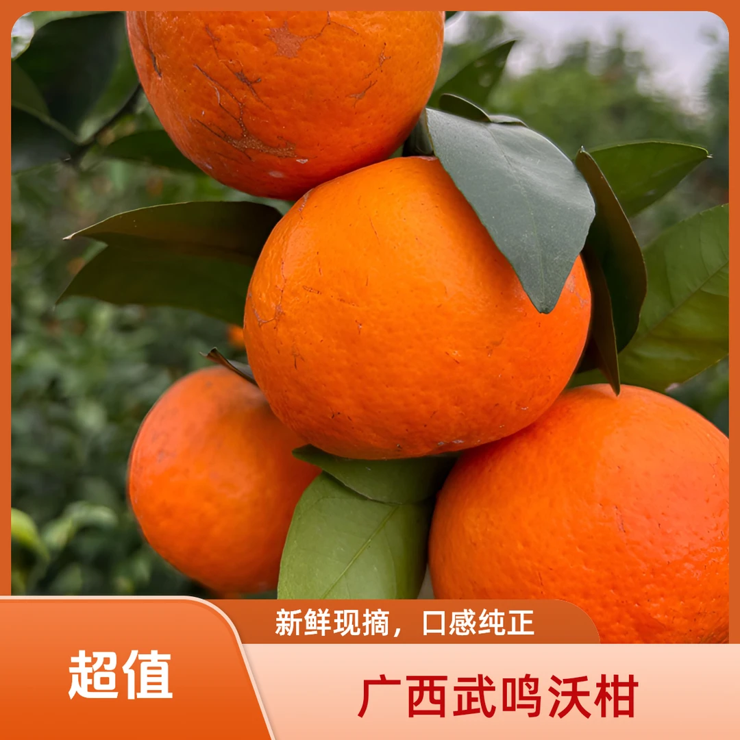 广西武鸣【精选】沃柑果皮细水分大糖度高果肉化渣整箱5斤