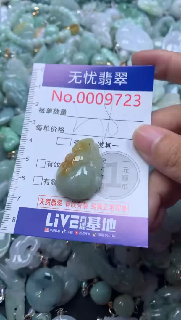 颈饰未镶嵌翡翠9723