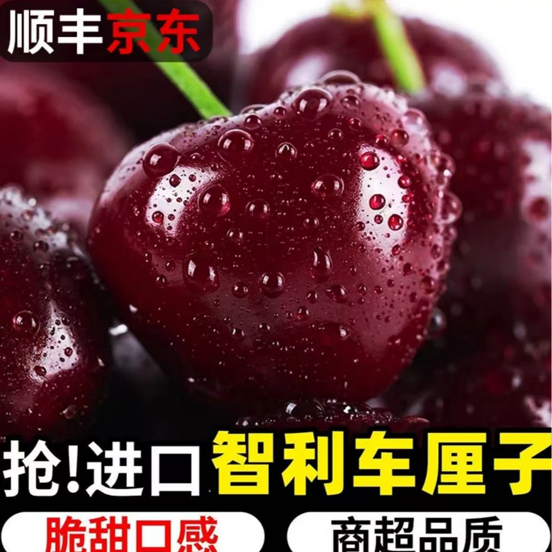 【2J/3J/4J高品质黑车次日达】皇家黎明5斤智利海运车厘子内附果径卡皇家黎明樱桃智利共和国