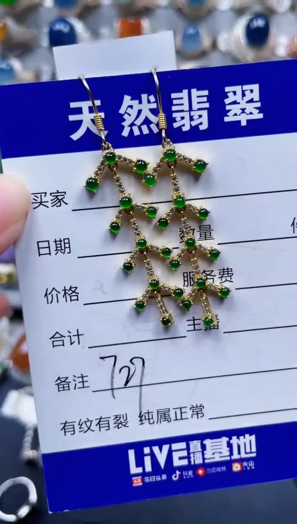 银S925镶嵌翡翠耳饰727