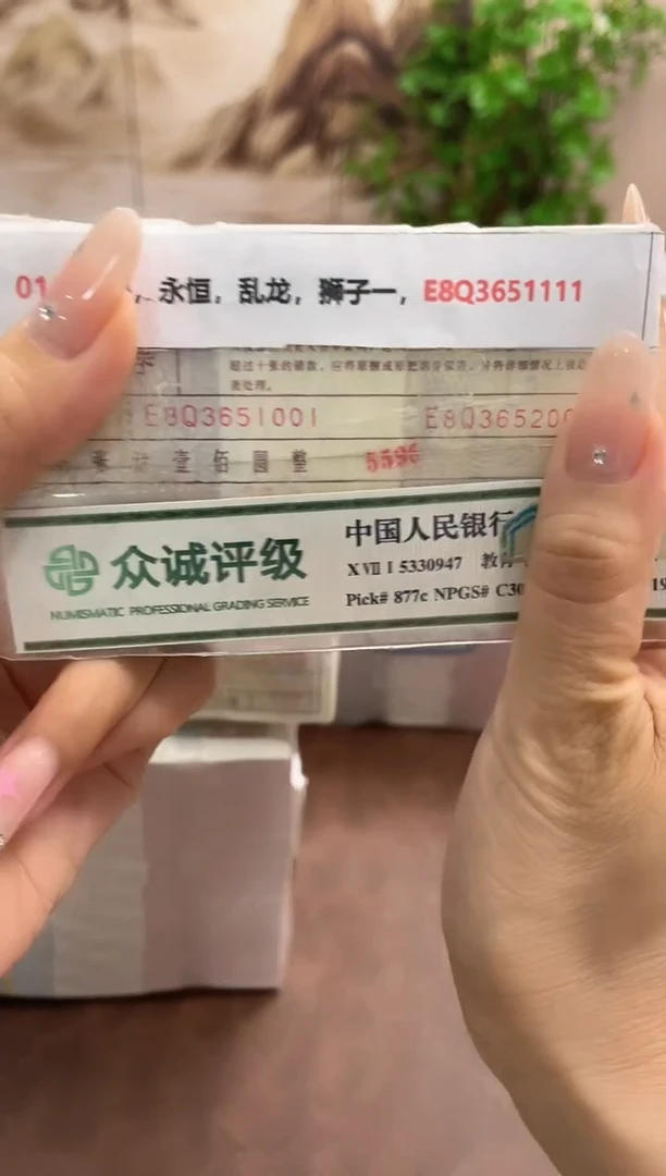 M 01，上海，永恒，乱龙，狮子一，E8Q3651111