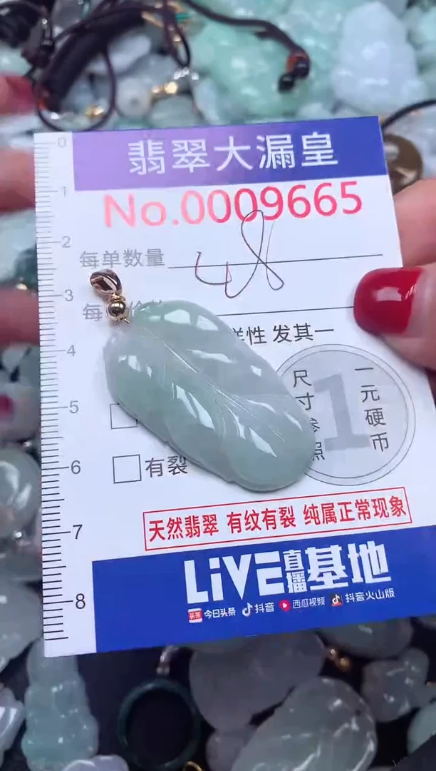 颈饰未镶嵌翡翠9665