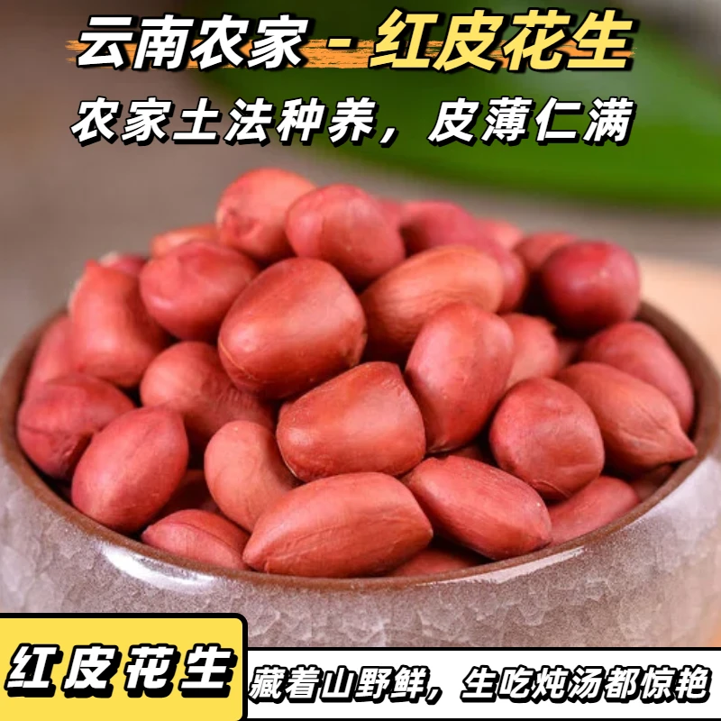 生红皮花生米当季新货地道云南小粒红衣花生打豆浆牛奶煲汤专用