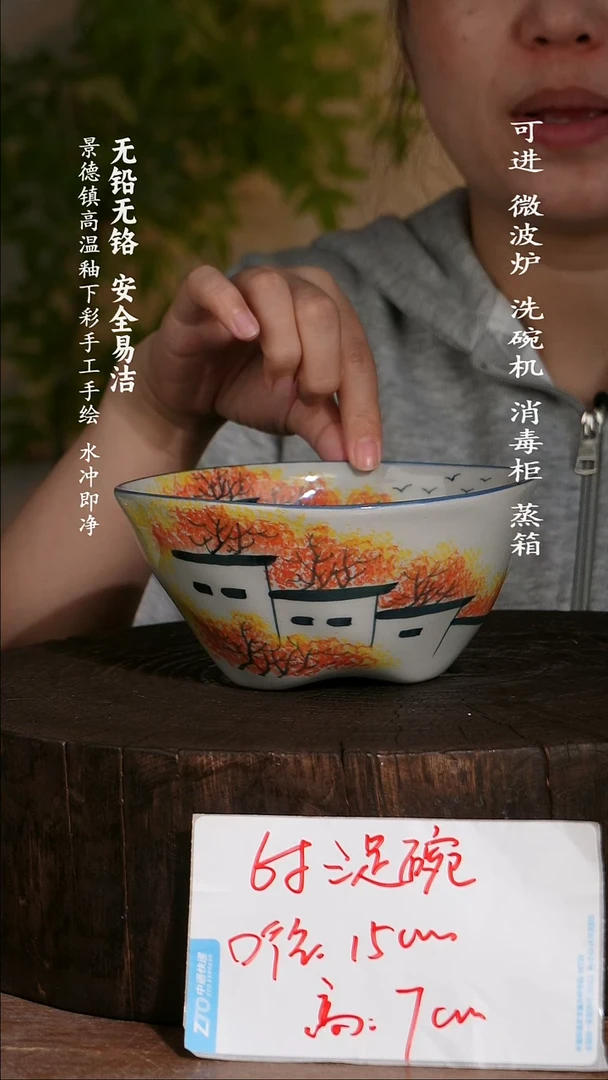 碗陶瓷景德镇高温瓷釉下彩手绘陶瓷