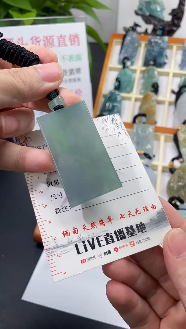 【闪购商品】翡翠颈饰未镶嵌无事牌