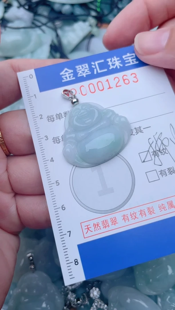 颈饰未镶嵌翡翠1263
