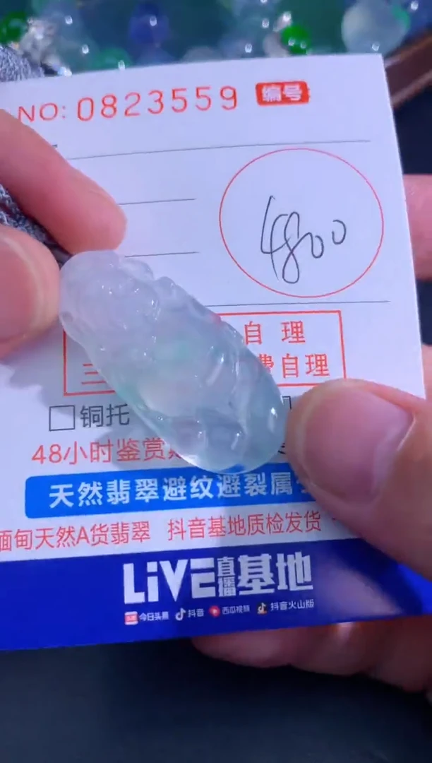 颈饰未镶嵌翡翠天然A货翡翠