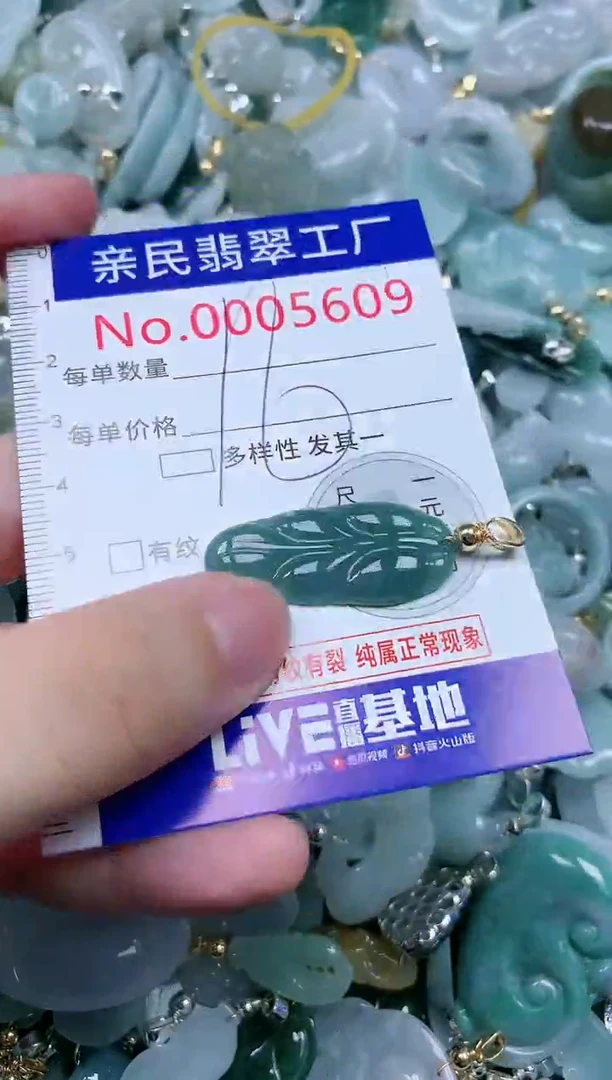 翡翠未镶嵌吊坠(不含链)5609