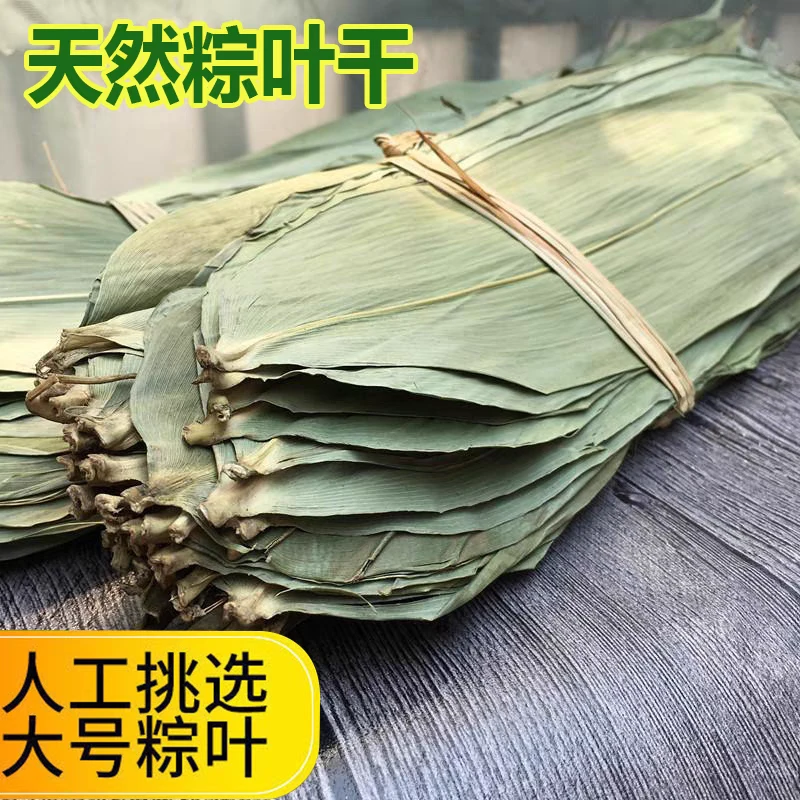 新货天然箬竹叶包粽子干粽叶农家自采晾晒顺丰包邮山货