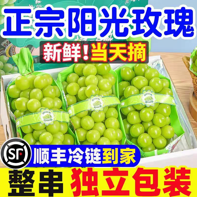 {顺丰}Y正宗阳光玫瑰葡萄新鲜整串脆甜无籽带玫瑰香现摘现发