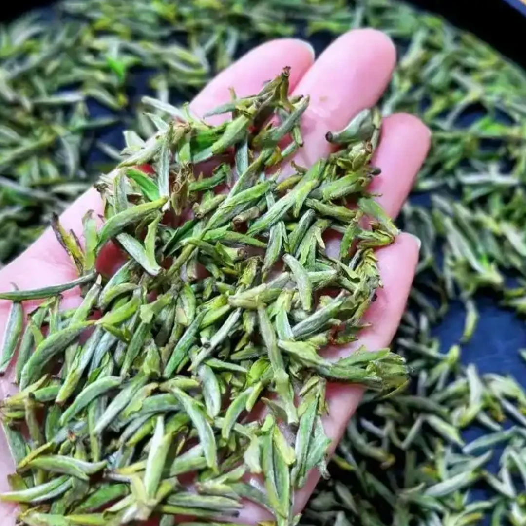 2025安徽新茶春茶茶叶绿茶明前黄芽毛峰浓香耐泡回甘生津不苦不涩