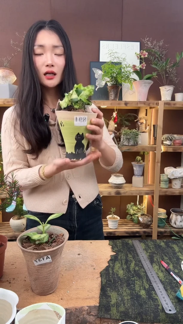 无花朵894月光灯加盆一套