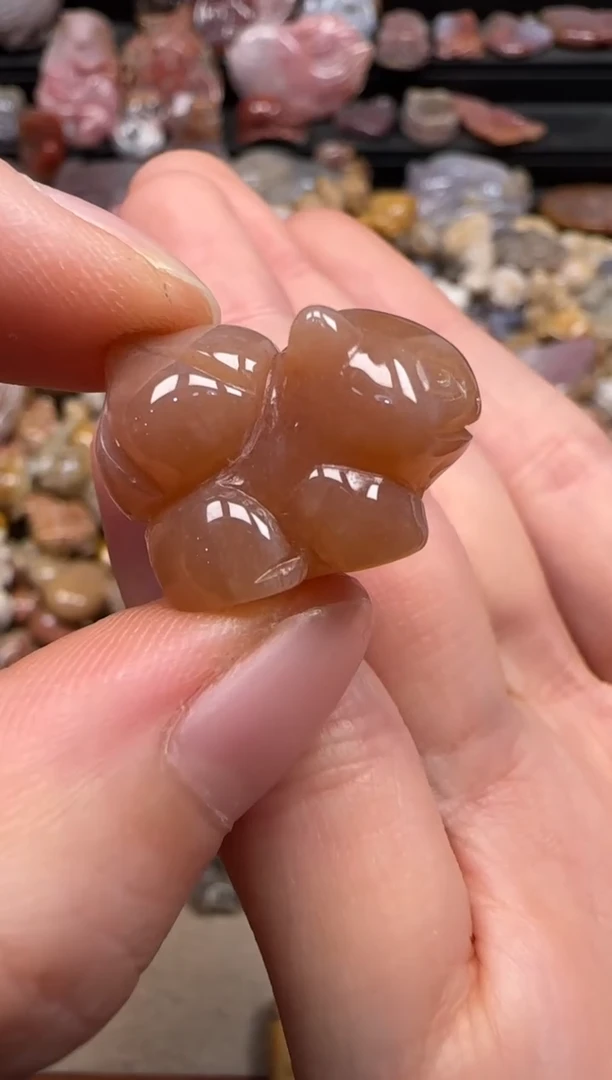 【闪购商品】硅化珊瑚（珊瑚玉）颈饰未镶嵌417