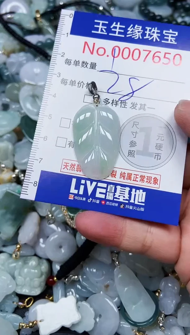 【闪购商品】翡翠颈饰未镶嵌闪购00007650