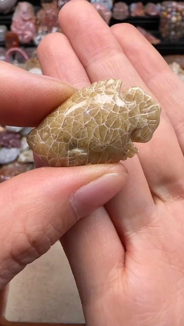 【闪购商品】硅化珊瑚（珊瑚玉）颈饰未镶嵌631