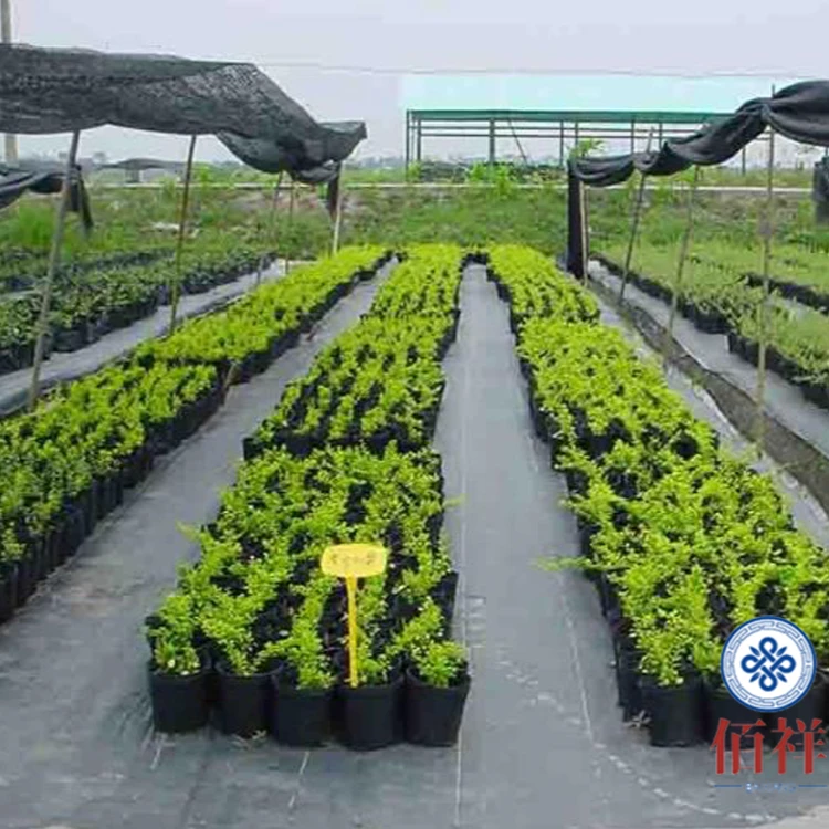 抗老化PE防草布果园防草布园艺地布遮光布打孔防草布中草药种植