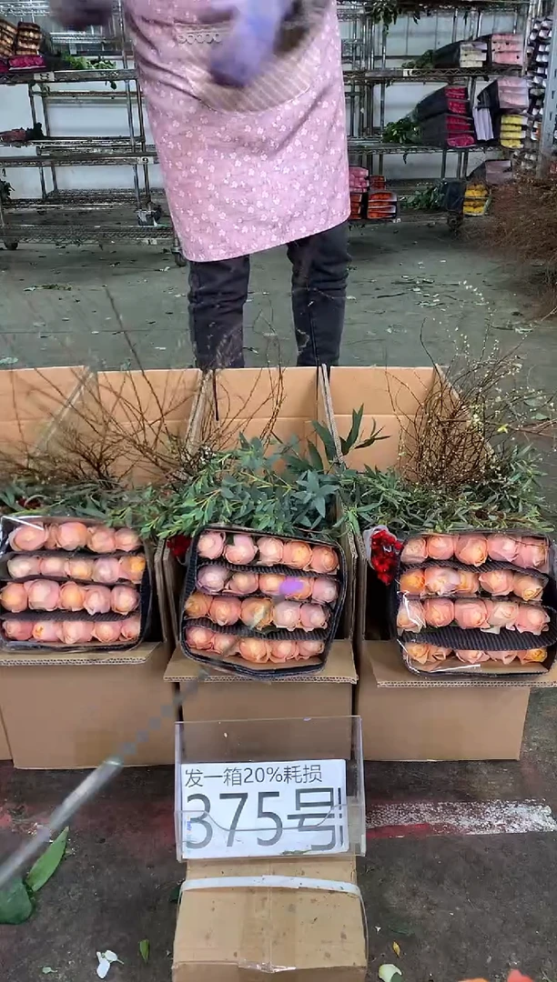 375号♥中通含20%耗损发一箱鲜花