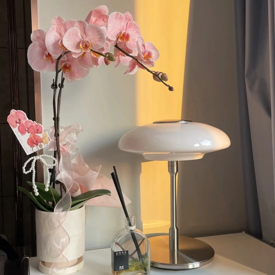 三文鱼粉-蝴蝶兰兰花盆栽绿植盆景