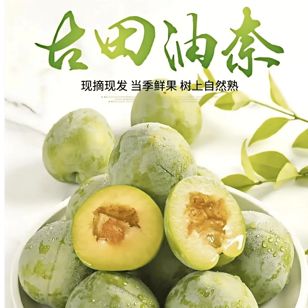 【净重5斤顺丰发货】正宗古田油奈黄金奈脱骨李青奈现摘现发