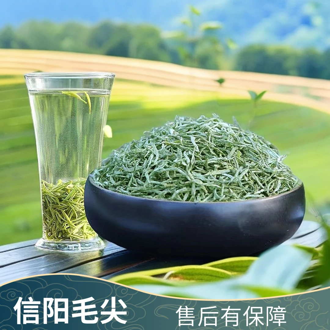 信阳毛尖  明前中芽  2025正宗高山绿茶盒装2024新茶纯天然茶叶