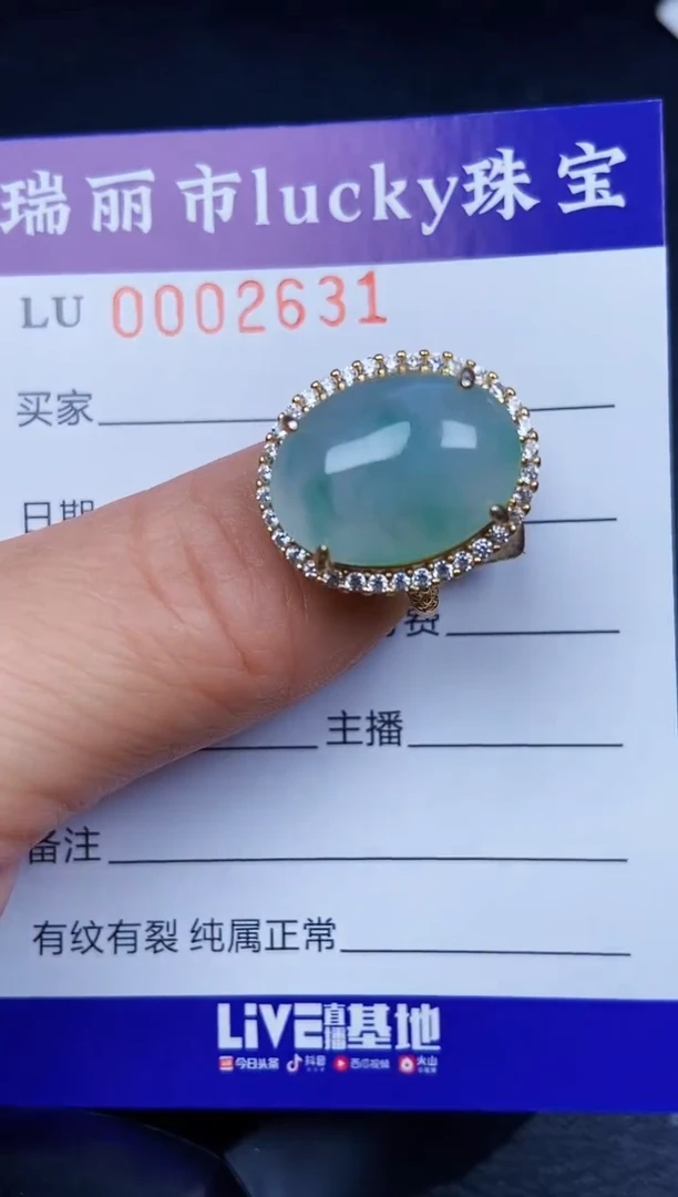 翡翠银S925镶嵌颈饰2631