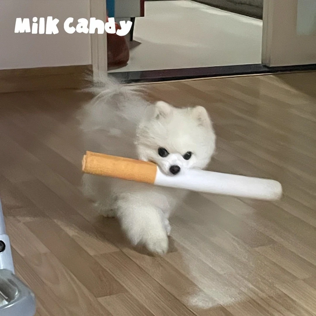 狗狗香烟毛绒玩具香烟华子宠物发声自嗨解闷磨牙耐咬不烂小狗宠物